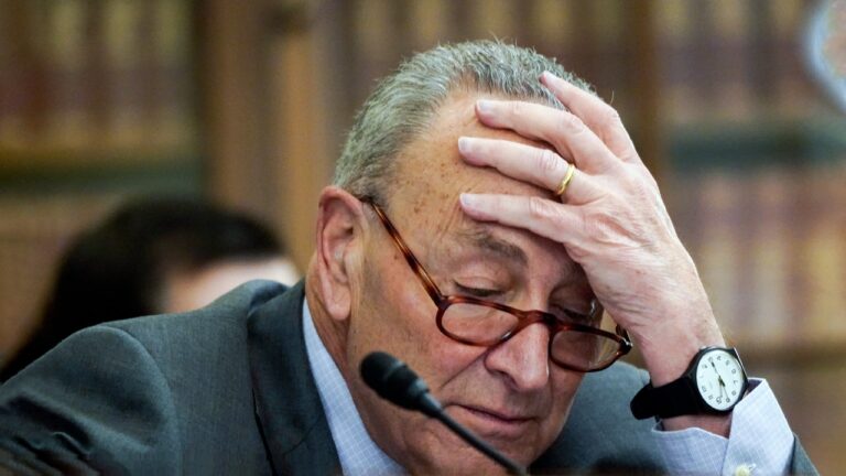 Schumer Crop Ap22005538358875.jpg