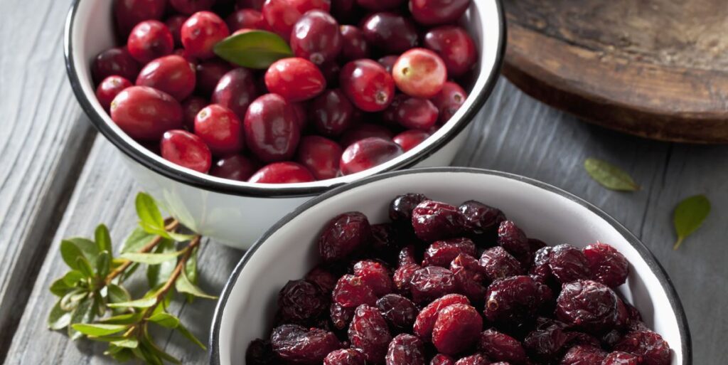 Two Bowls Of Dried And Fresh Cranberries On Grey Royalty Free Image 1671046584.jpg