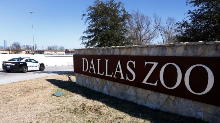 230113144452 03 Dallas Zoo Closed 011323.jpg