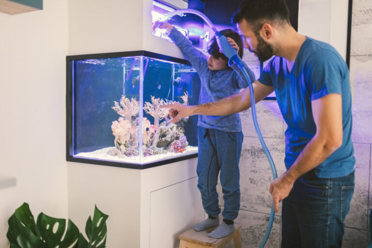 In Home Aquarium.jpg