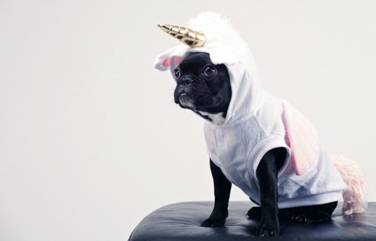 Costume Your Pet To Win Halloween Buy Two And Get One Free O C1ga.1200.jpg
