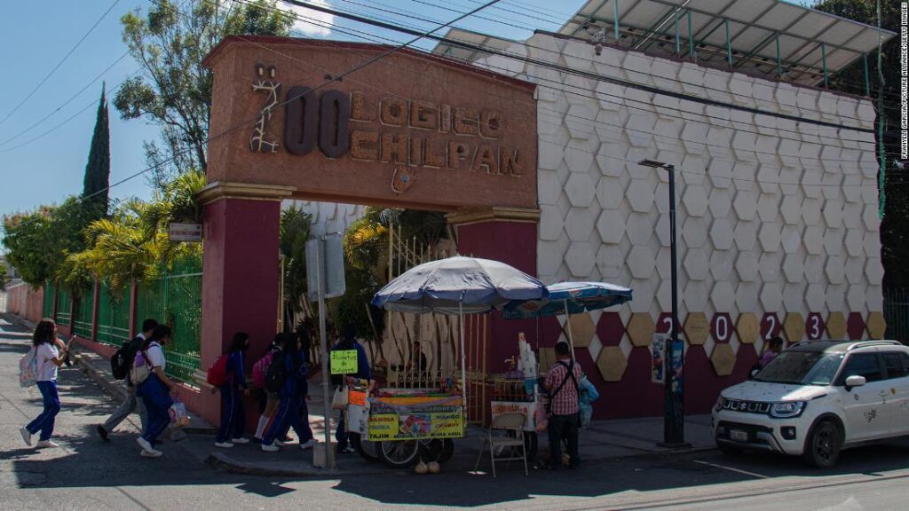 230202170940 zoochilpan entrance 020123 super tease.jpg