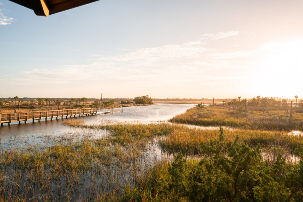 Jacksonville fl park.jpg