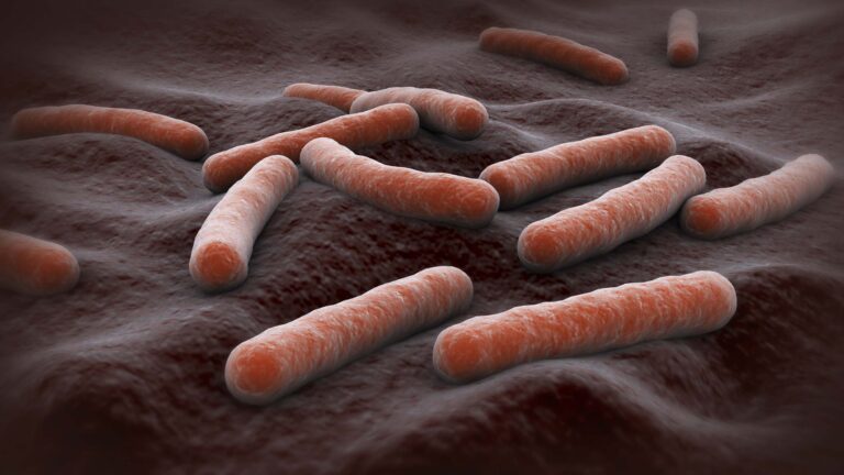 230412 Tuberculosis Bacteria Mn 2035 4d2f04.jpg