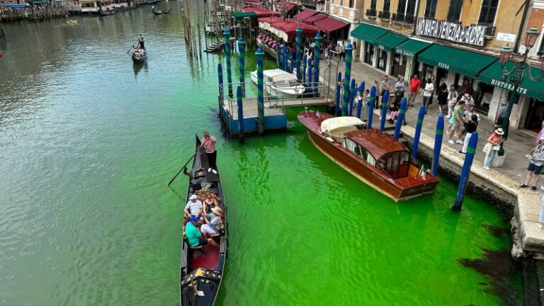 230528091605 01 Venice Canals Green 0528.jpg