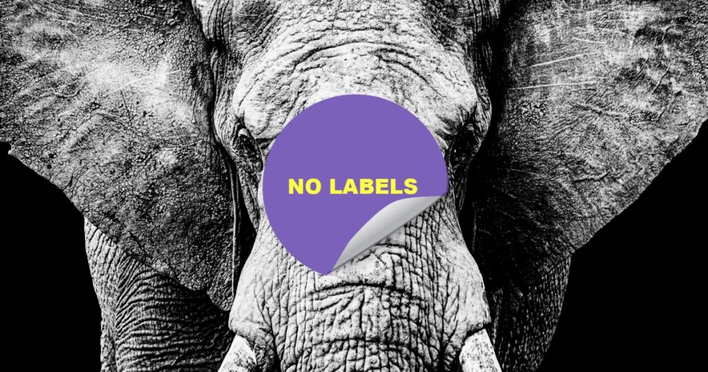 20230612 No Labels 2000.jpg