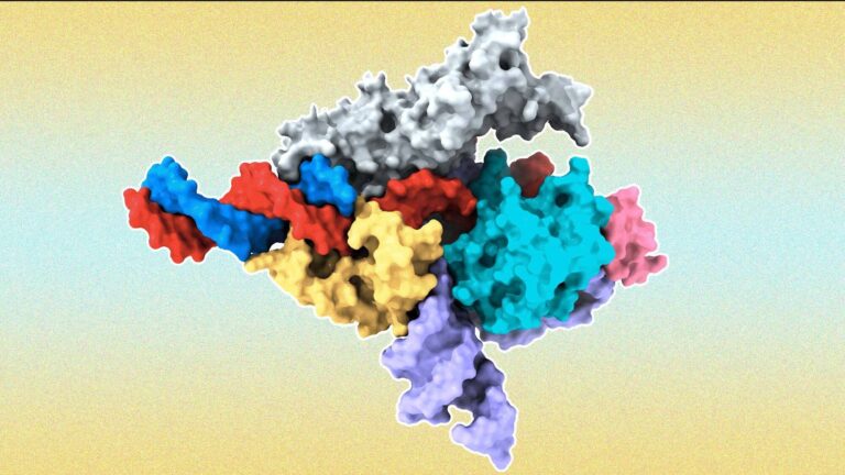 Fanzorcryoprotein web.jpg