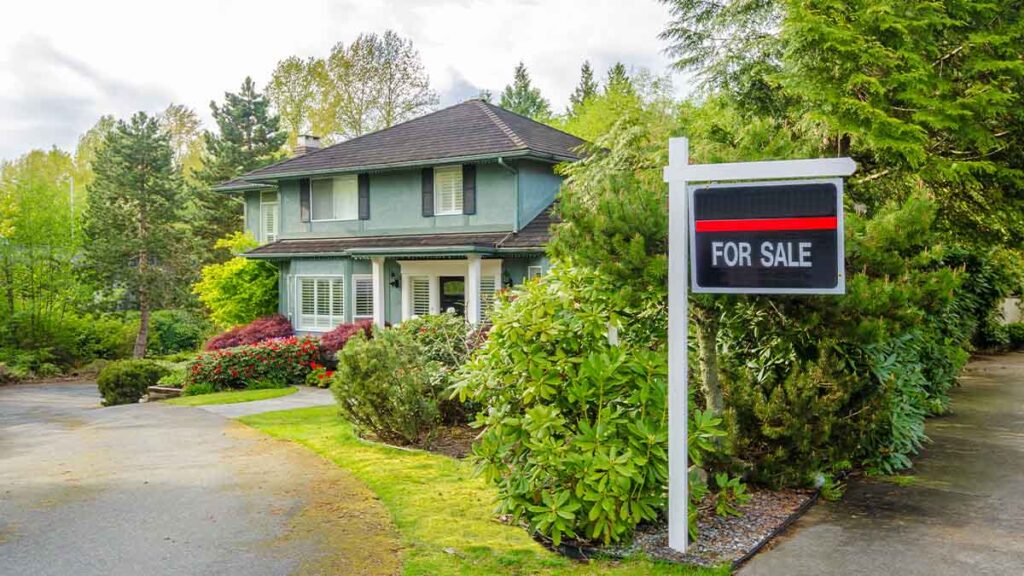 For sale 17.jpg