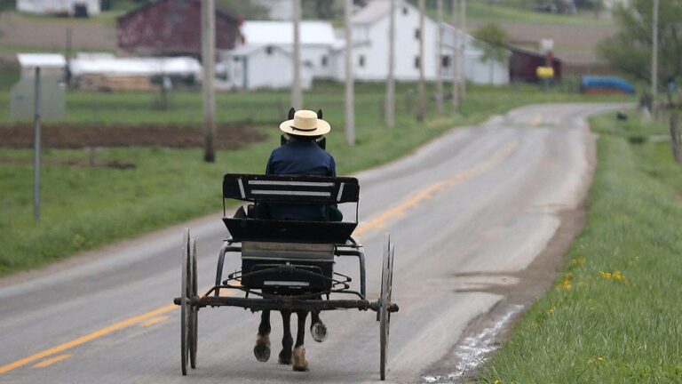 Swartzentruber Amish.jpg