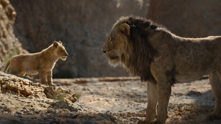 The Lion King 1.jpg