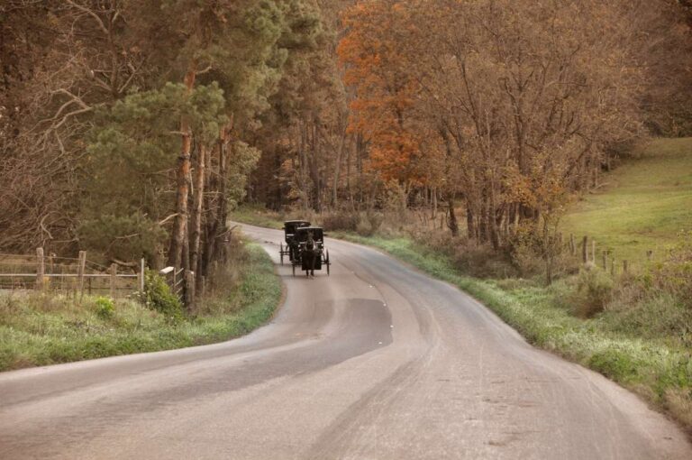 Best-Day-Trips-in-Ohio-Amish-Country-Road-Ohio-DP.jpg