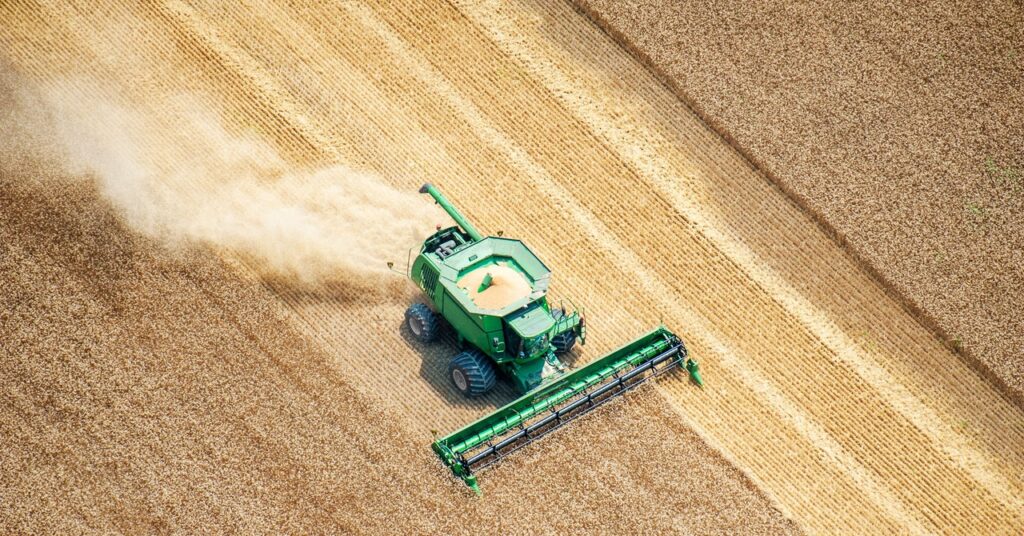 Wheat Field Science Gettyimages 184589603.jpg