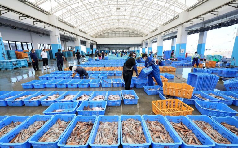 Fukushima Nuclear Waste Pumping Seafood.jpg