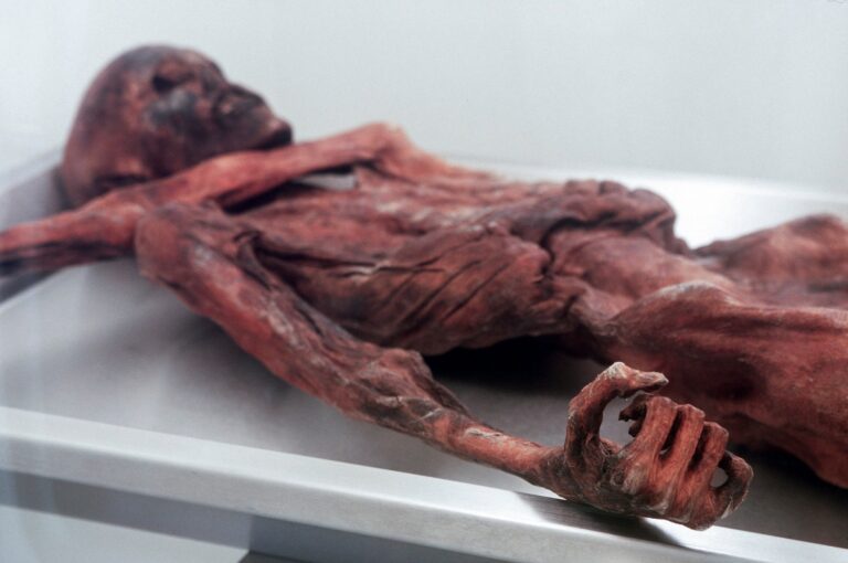 Otzi Ice Man Melting Glacier.jpg