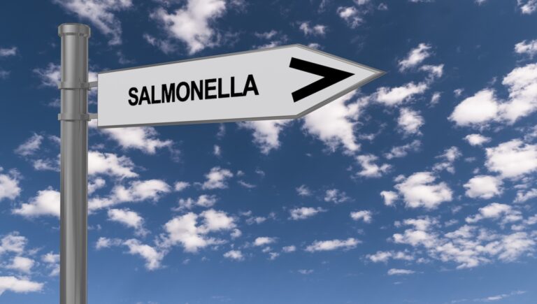 Salmonella Sign.jpg
