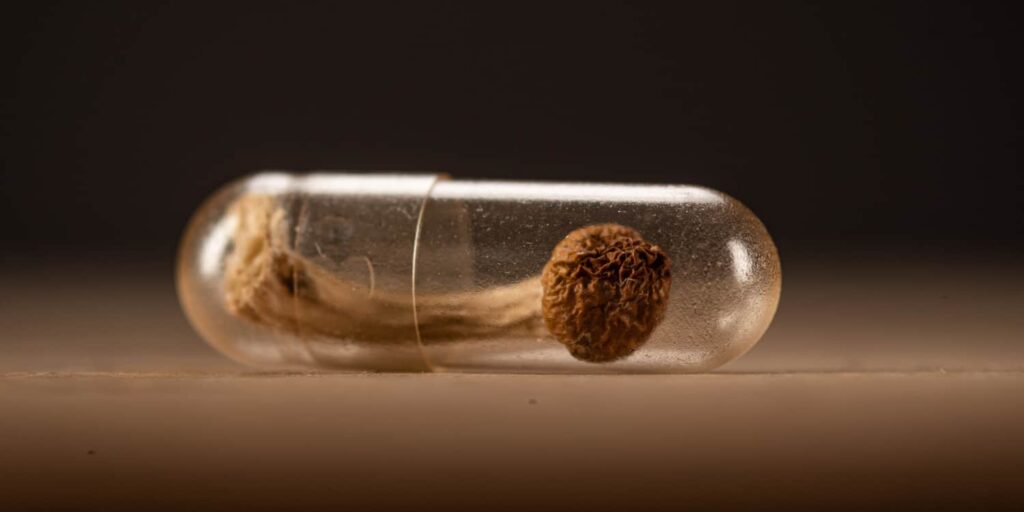 Psilocybin Mushroom Inside A Clear Medicine Capsule.jpg