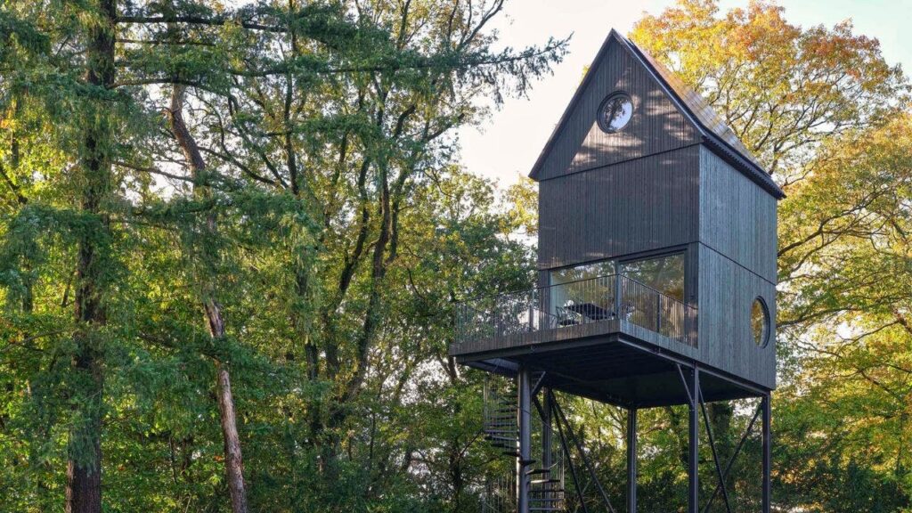 2 A Birdhouse Inspired Tiny House Nestled In Nature That Runs On Solar Power.jpg