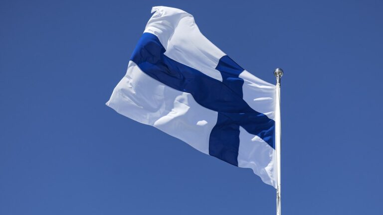 Finnish Flag.jpg