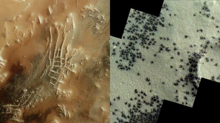 Spiders Inca Mars.jpg