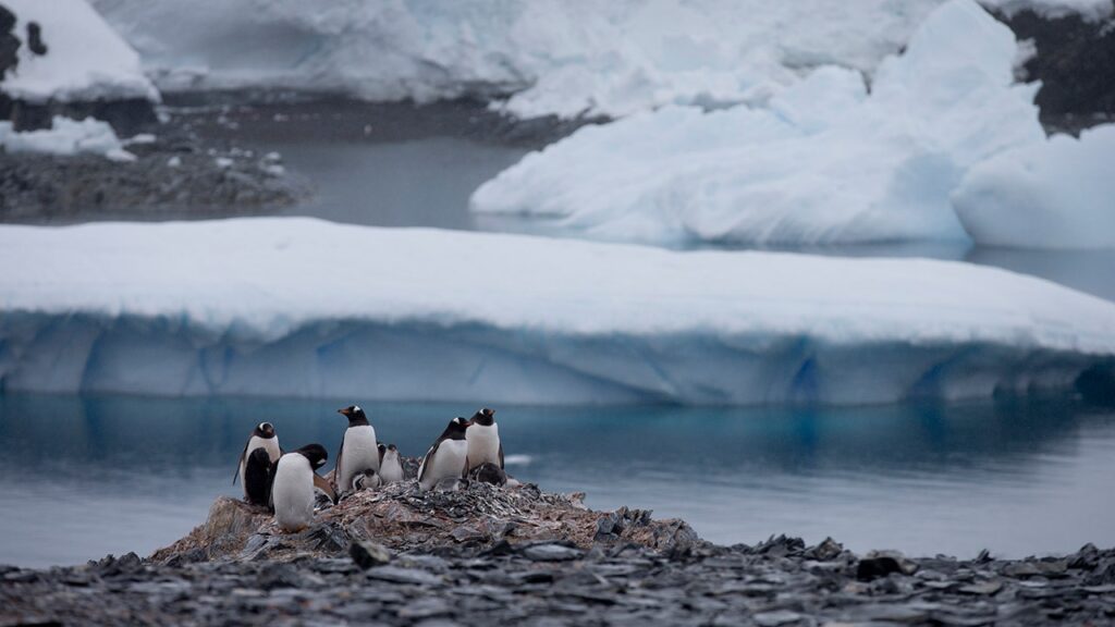 Chile Antarctica.jpg