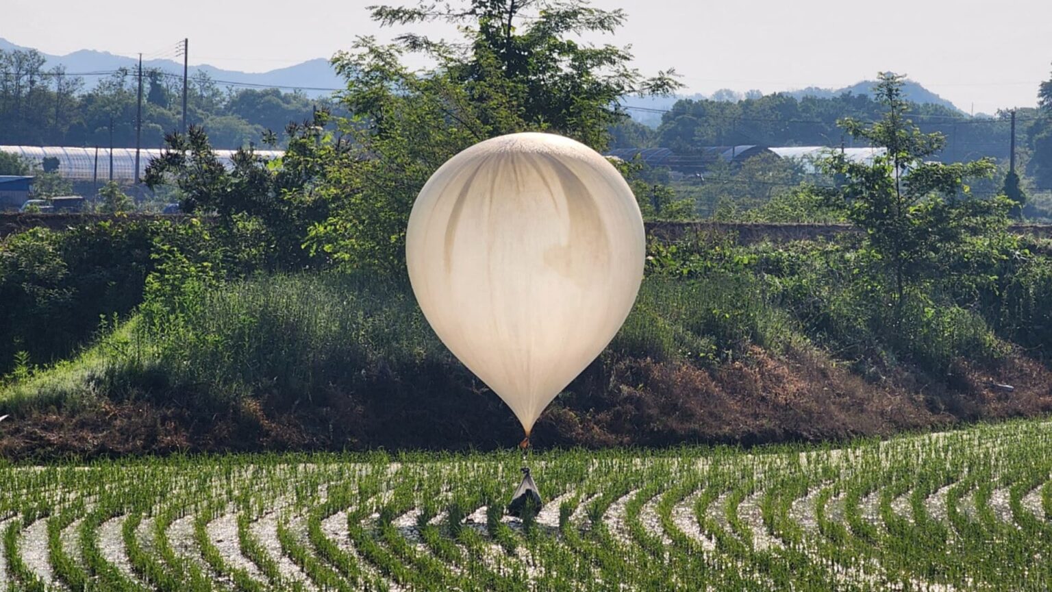 107421230 17169873522024 05 29t025530z 1300347358 Rc2208a7mgsp Rtrmadp 0 Southkorea Northkorea Balloons.jpeg