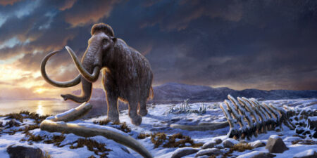 Lastwrangelmammoth By Beth Zaiken Web 760x380.jpg