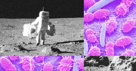 Wi 0624 03 Human Waste On Moon 1.jpg