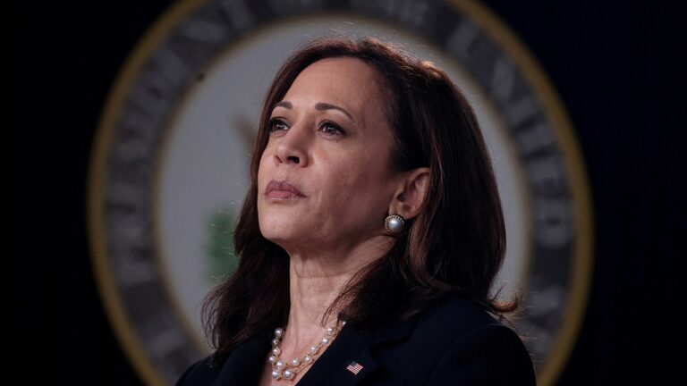 Joe Biden Kamala Harris 2024 Election 09.jpg