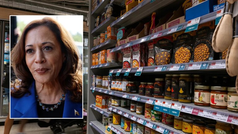 Kamala Grocery Plan.jpg