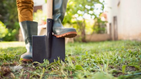 Backyard Garden.jpg