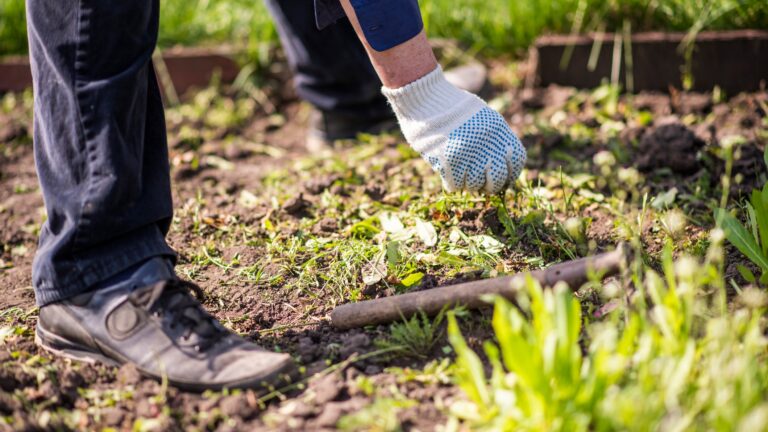 Man Weeding Garden.jpg