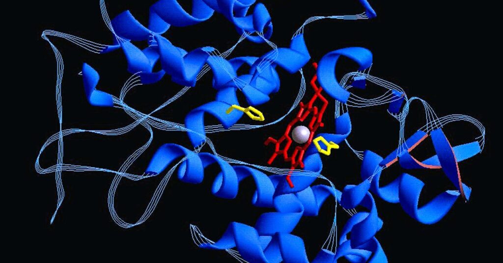 Protein Structure Sci 615305264.jpg