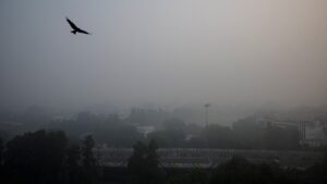 New Delhi Smog.jpg