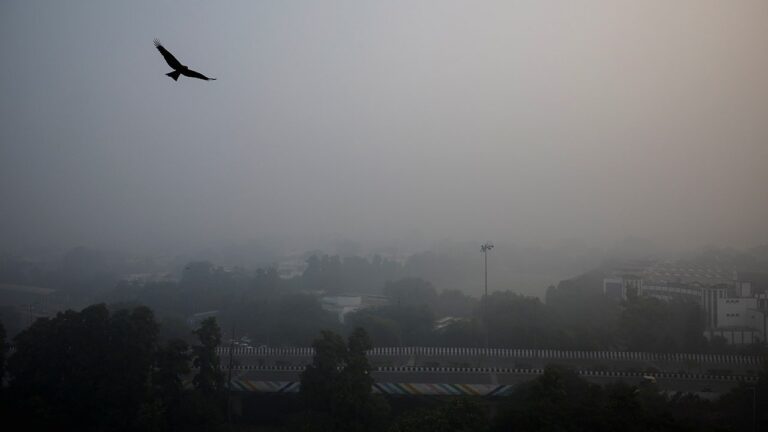 New Delhi Smog.jpg