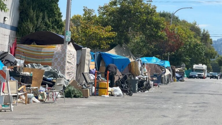 Berkeley Homeless Encampment.jpg