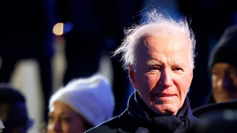 Biden Hair 3.jpg