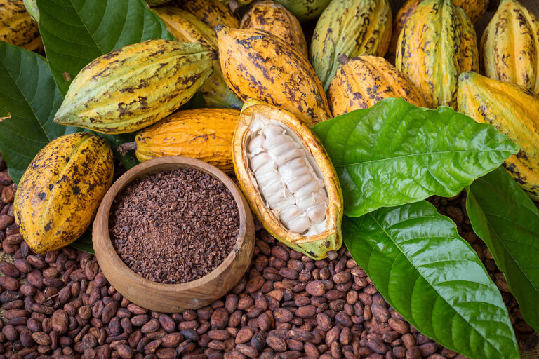 Bigstock Ripe Cocoa Pod And Nibs Cocoa 193096660.jpg