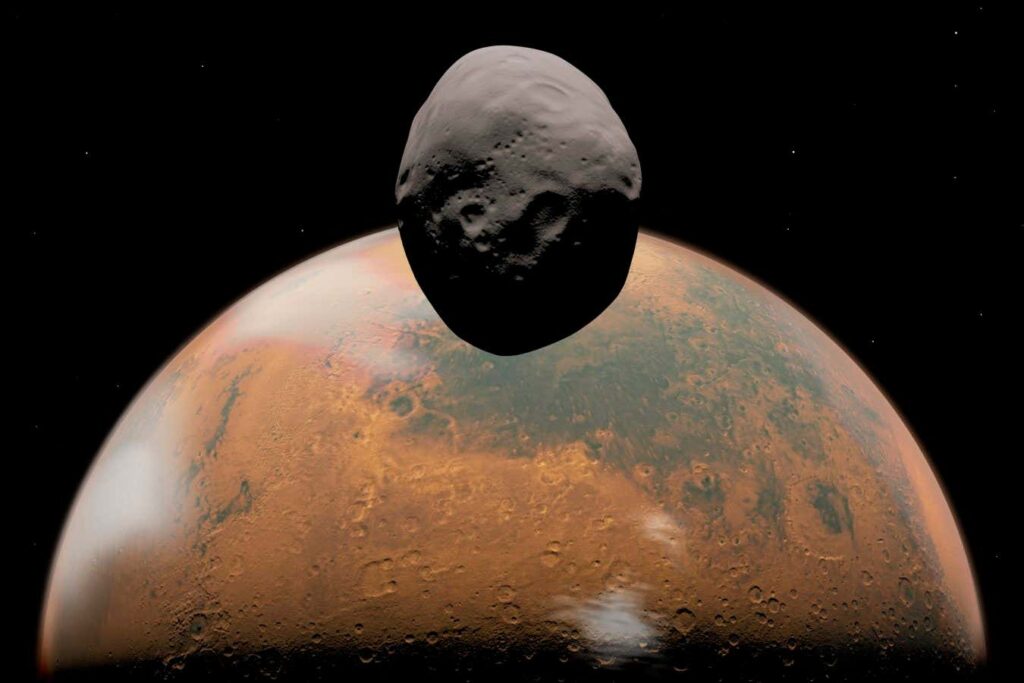 Sei 237698265.jpg