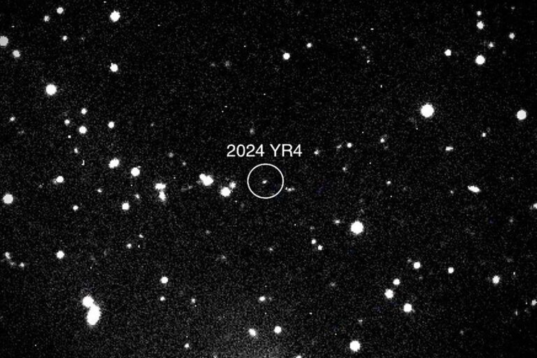 Sei 240784761.jpg
