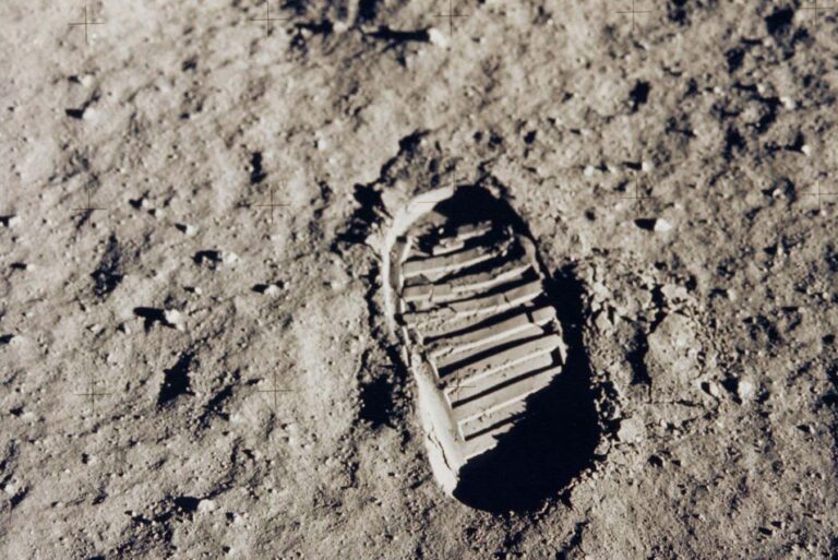 Sei 246062247.jpg