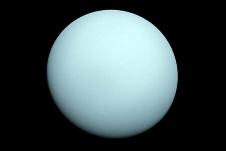 Sei 246747964.jpg