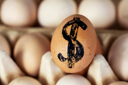 Bigstock cardboard container with eggs 470814637.jpg