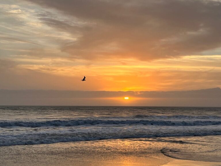 Sunrise2 15.jpg